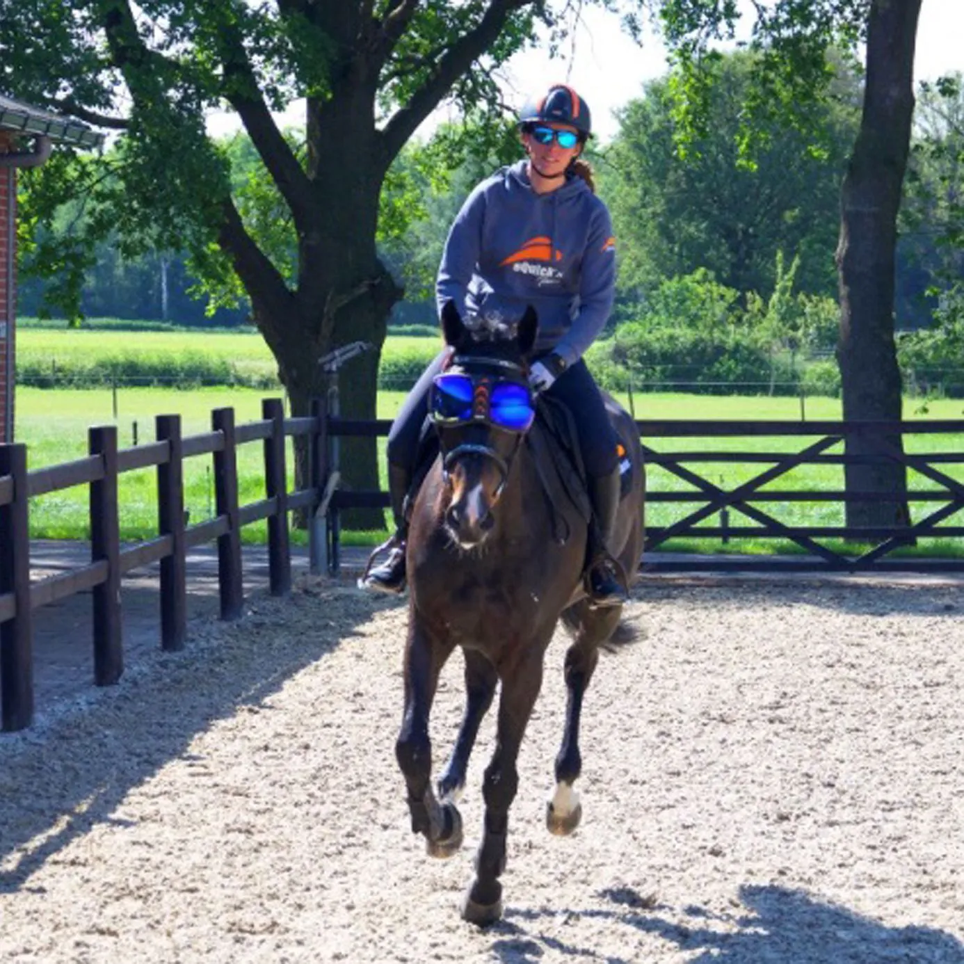 eQuick eVysor Equine Goggles