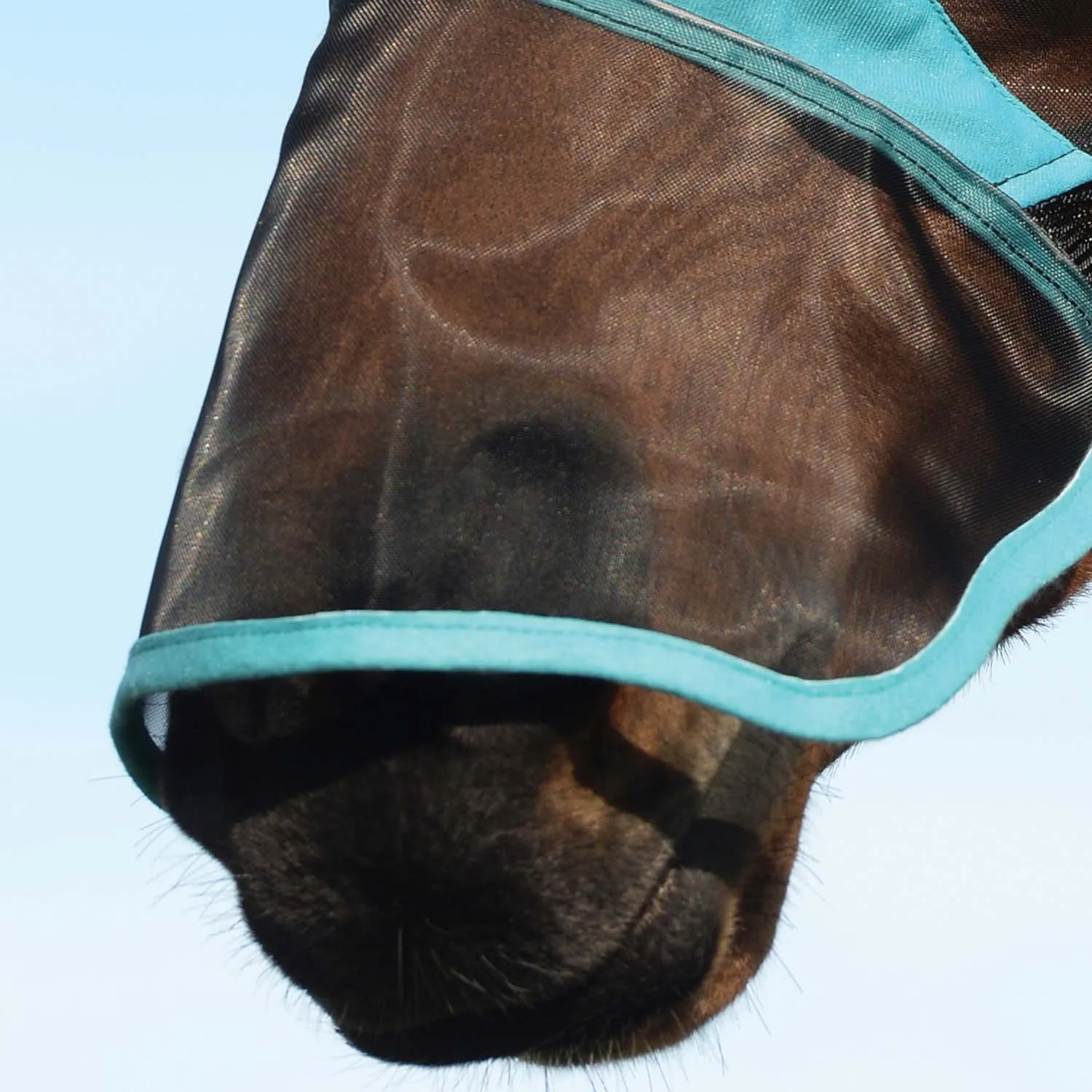 WeatherBeeta ComFITec Deluxe Fine Mesh Fly Mask with Ears & Nose